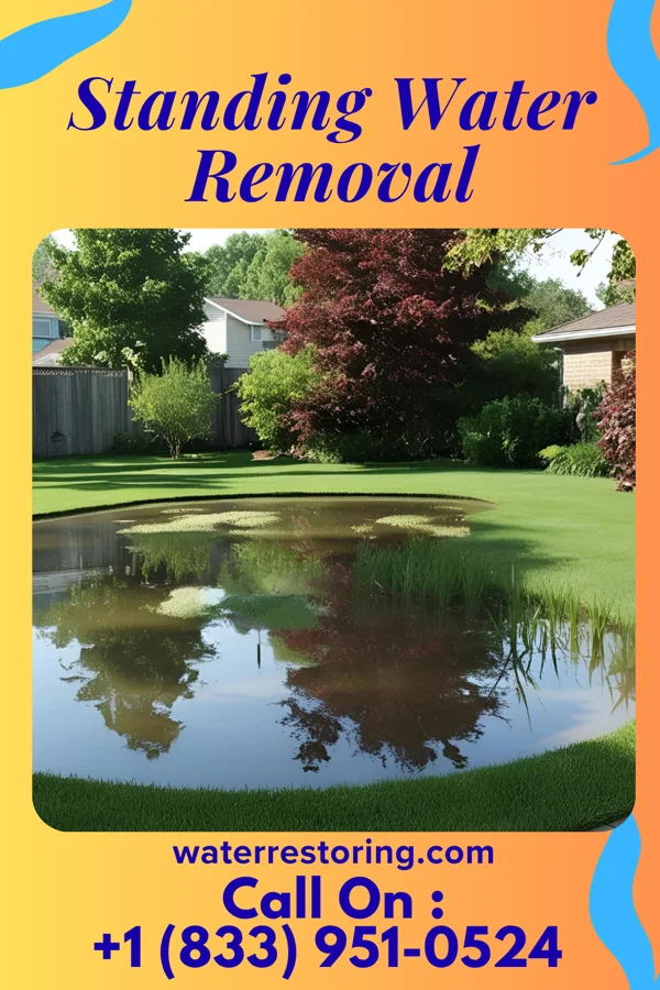 Standing Water Removal in Ozark, AL